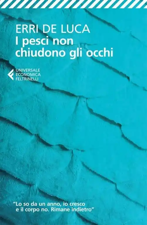 I pesci non chiudono gli occhi Nuova Collezione