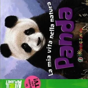 Panda Offerta Limitata
