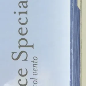 Bice speciale. In viaggio col vento. Ediz. illustrata Consegna Rapida