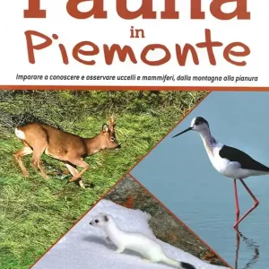 Fauna In Piemonte. Imparare a conoscere e osservare uccelli e mammiferi, dalla montagna alla pianura Quantità Limitata