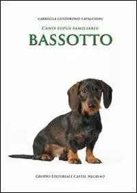 Subito Disponibile Bassotto