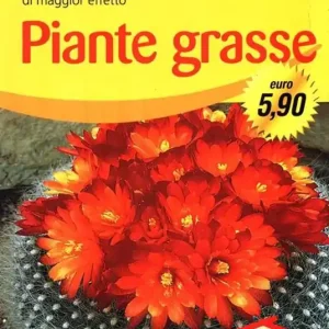 Sconto Piante grasse