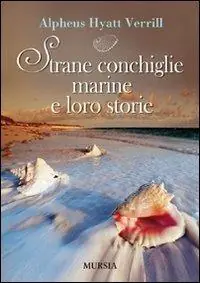 Strane conchiglie marine e loro storie Direttamente Dal Produttore