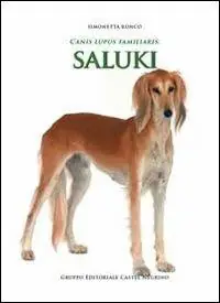 Sconto Canis lupus familiaris. Saluki
