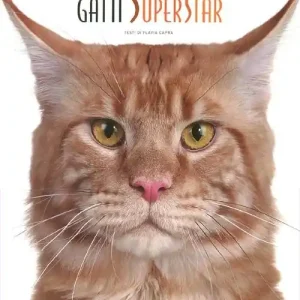 A Buon Prezzo Gatti superstar. Ediz. illustrata
