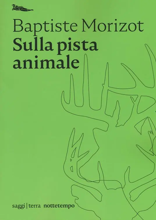 Sulla pista animale Promozione