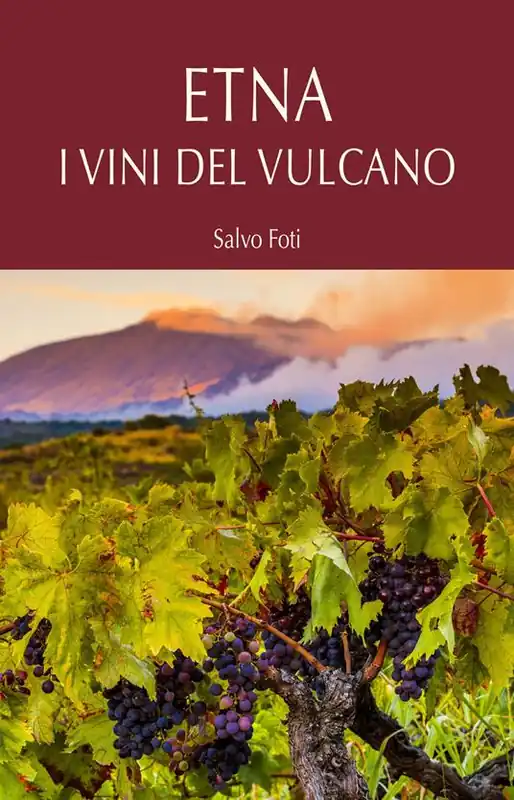 A Buon Prezzo Etna. I vini del vulcano