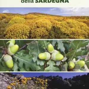 Affare Alberi, arbusti e erbe della Sardegna. Ediz. a colori