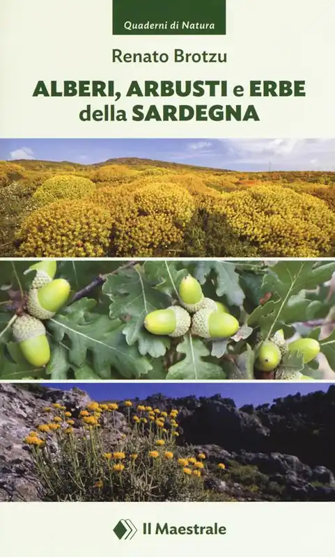 Affare Alberi, arbusti e erbe della Sardegna. Ediz. a colori
