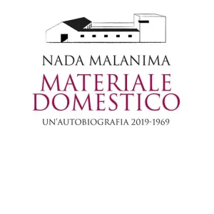Materiale domestico. Un‘autobiografia 2019-1969 Professionale