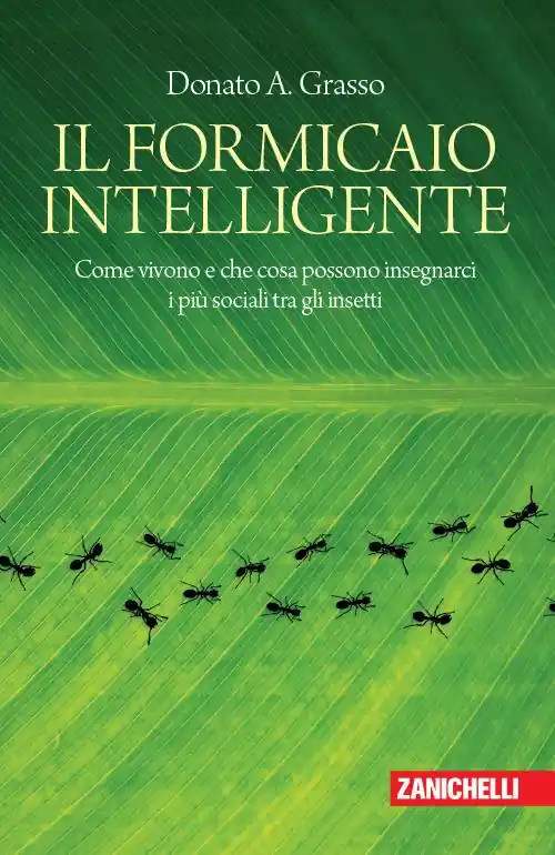 Il formicaio intelligente. Come vivono e che cosa possono insegnarci i più sociali tra gli insetti Bestseller