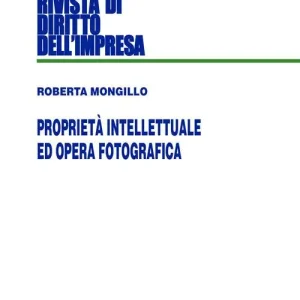 Occasione Proprietà intellettuale ed opera fotografica