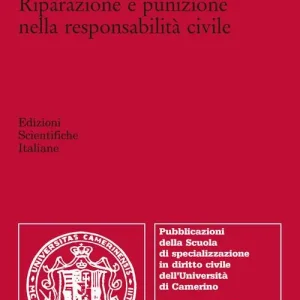 Occasione Riparazione e punizione nella responsabilità civile