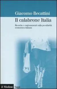 Pagamento Sicuro Il calabrone Italia. Ricerche e ragionamenti sulla peculiarità economica italiana