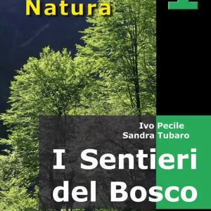 Saldi I sentieri del bosco. 40 itinerari escursionistici alla scoperta deli boschi della montagna friulana