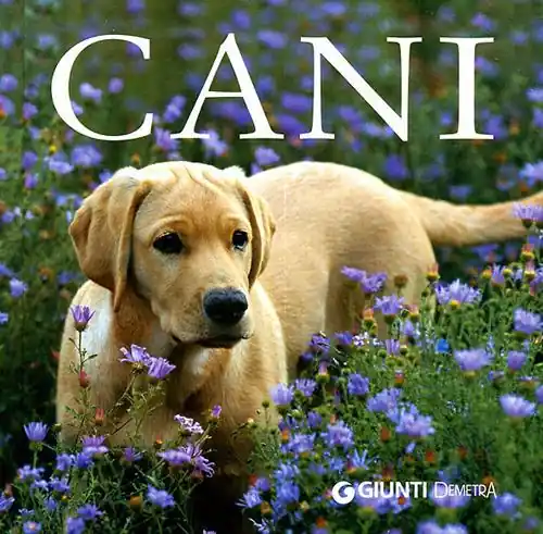 Miglior Prezzo I cani. Ediz. illustrata