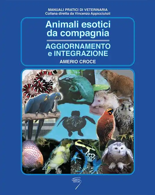 Animali esotici da compagnia. Aggiornamento e integrazione Promozione