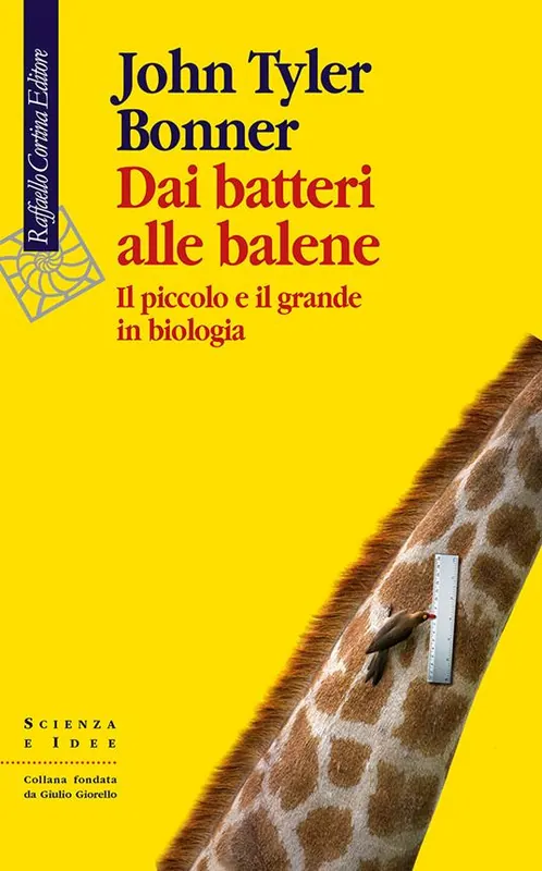Must-Have Dai batteri alle balene. Il piccolo e il grande in biologia. Ediz. illustrata