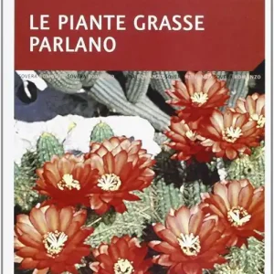 Offerta Speciale Le piante grasse parlano