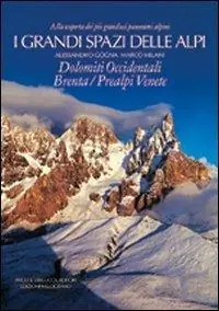 I grandi spazi delle Alpi. Ediz. illustrata. Vol. 7 Dolomiti occidentali, Brenta, Prealpi Venete Solo Oggi