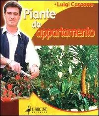 Prezzo Ridotto Piante da appartamento