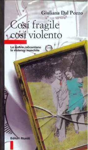 Nuovo Arrivo Così fragile così violento. Le donne raccontano la violenza maschile
