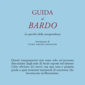 Guida al bardo. Lo specchio della consapevolezza Professionale