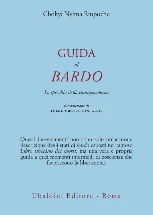 Guida al bardo. Lo specchio della consapevolezza Professionale