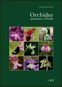Nuova Collezione Orchidee spontanee d‘Italia. Ediz. illustrata