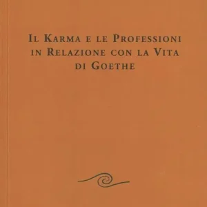 Più Venduto Il karma e le professioni in relazione con la vita di Goethe