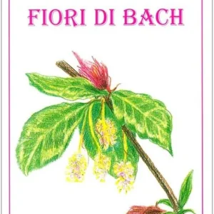 Le carte dei fiori di Bach Novità