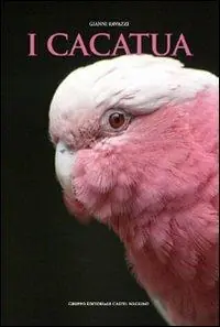 I cacatua Spedito Oggi