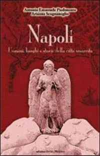 Offerta Lampo Napoli. Uomini luoghi e storie della città smarrita