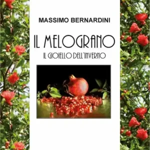 Non Perdere Melograno. Il gioiello dell‘inverno
