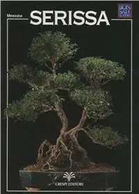Serissa Soddisfatti O Rimborsati