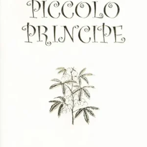 Le mimose del Piccolo Principe Must-Have