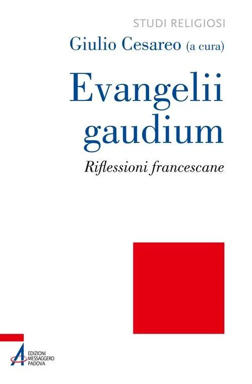 Evangelii gaudium. Riflessioni francescane Offerta Lampo