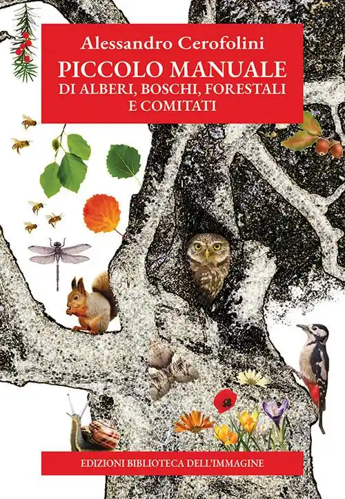 Piccolo manuale di alberi, boschi, forestali e comitati Popolare