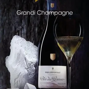 Grandi Champagne. Edizione 2026-27. Guida agli champagne da non perdere Economico