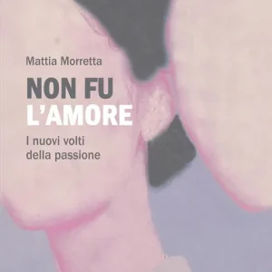 Non fu l‘amore. I nuovi volti della passione Professionale