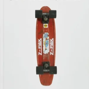 Occasione Skateboard. Ediz. a colori