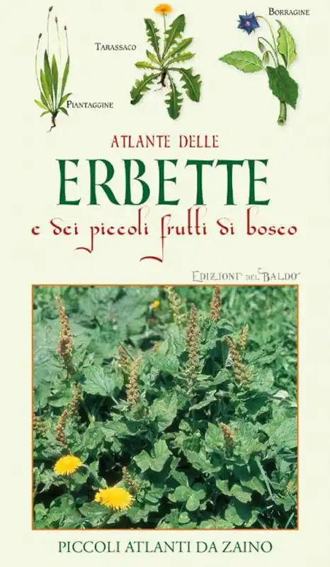 Atlante delle erbette e dei piccoli frutti di bosco Promozione Esclusiva