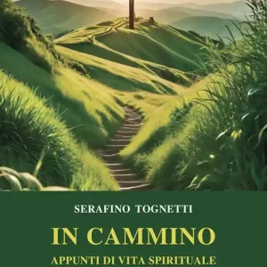 In cammino. Appunti di vita spirituale Reso Gratuito