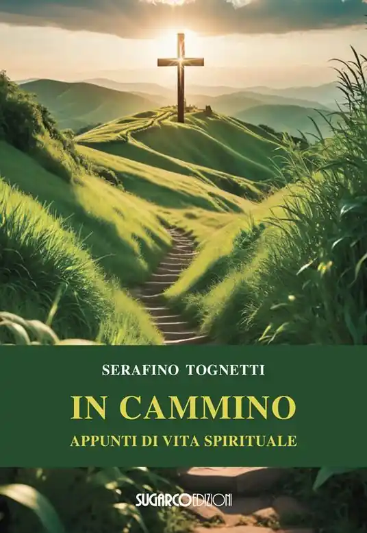 In cammino. Appunti di vita spirituale Reso Gratuito