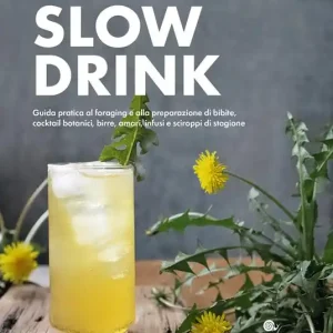 Acquista Ora Slow drink. Guida pratica al foraging e alla preparazione di bibite, cocktail botanici, birre, amari, infusi e sciroppi di stagione