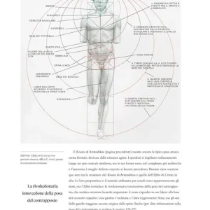 Anatomia artistica della figura umana in movimento Consegna Rapida