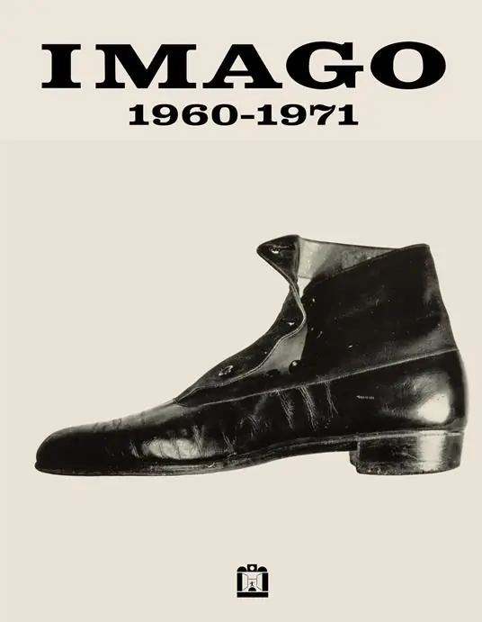 Occasione Imago 1960-1971. Ediz. illustrata