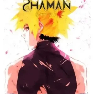 Shaman. Vol. 2 Prezzo Di Fabbrica
