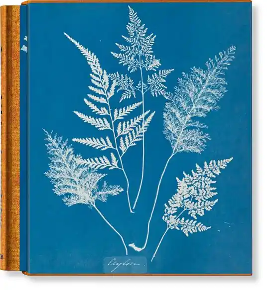 Offerta Limitata Anna Atkins. Cyanotypes. Ediz. inglese, francese e tedesca