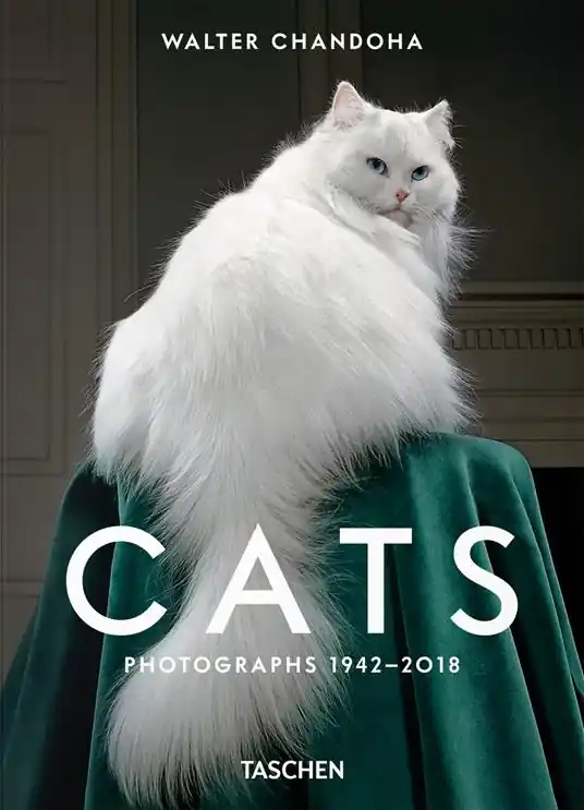 Walter Chandoha. Cats. Photographs 1942–2018. Ediz. inglese Soddisfatti O Rimborsati